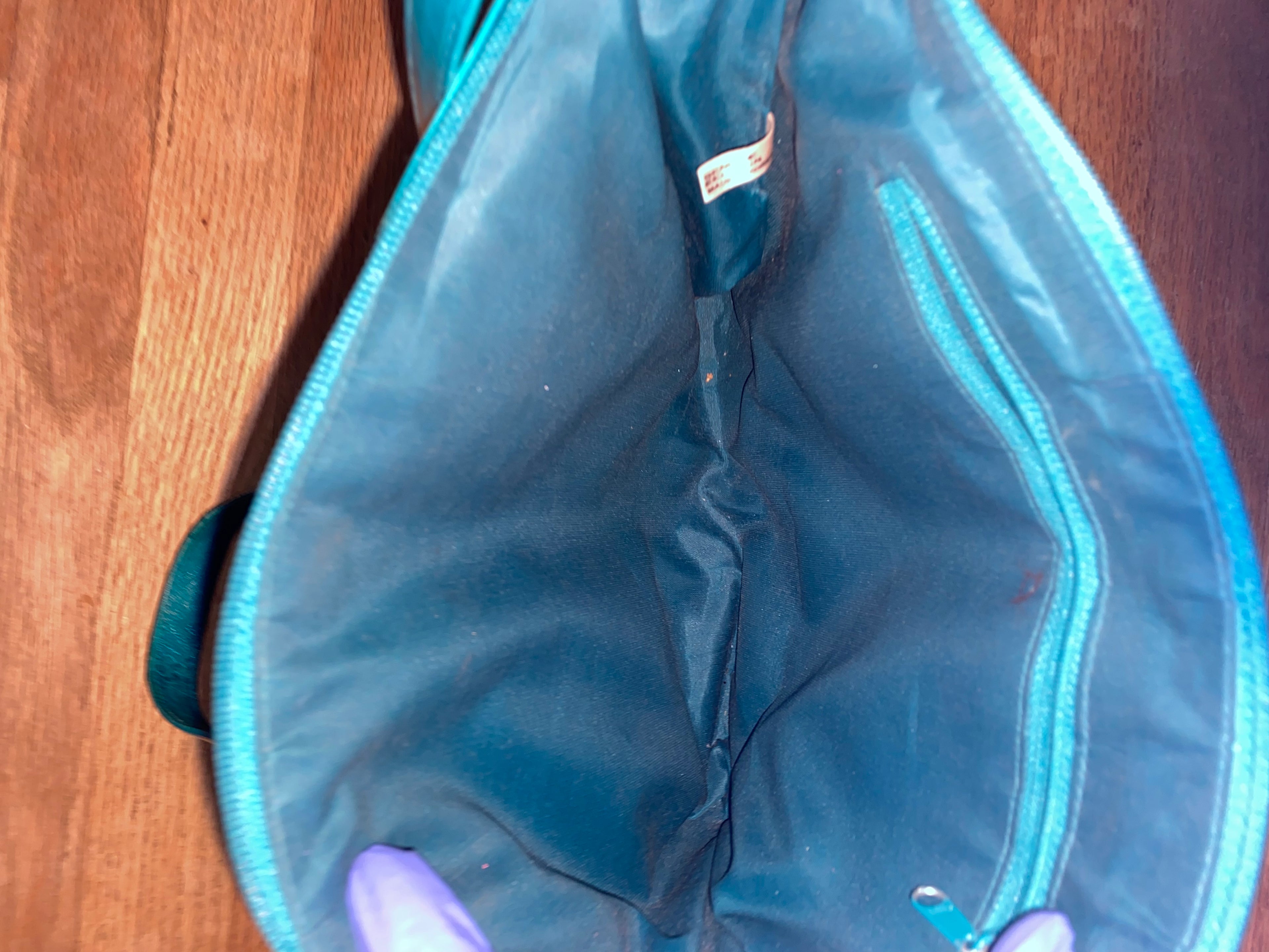 Vintage Electric Blue Eel Purse