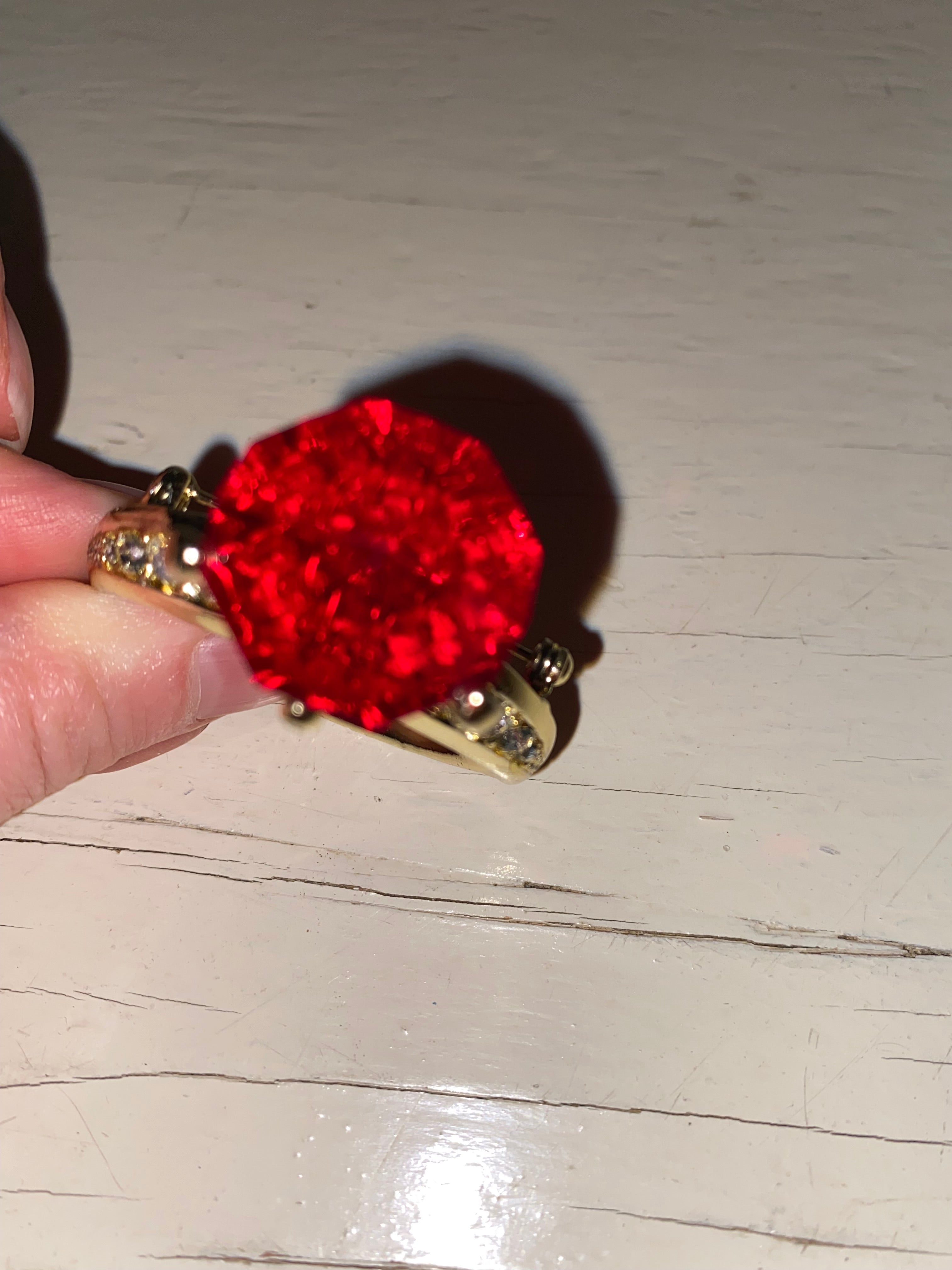 Novelty Brooch