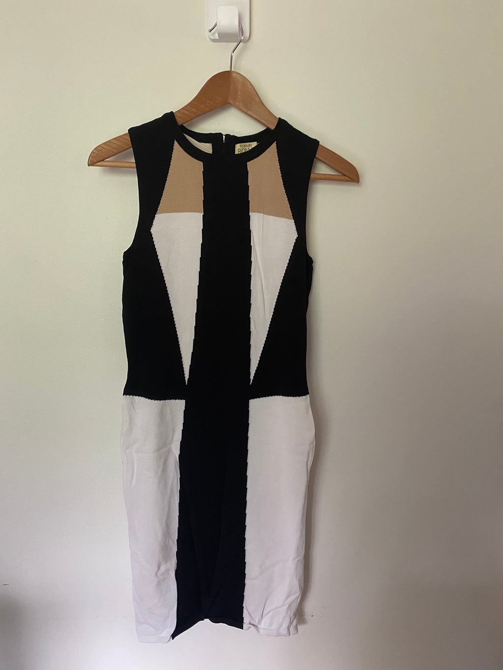 Torn by Ronny Kobo Dress