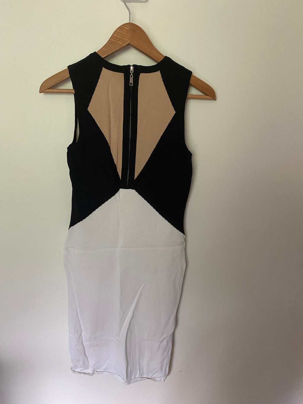 Torn by Ronny Kobo Dress
