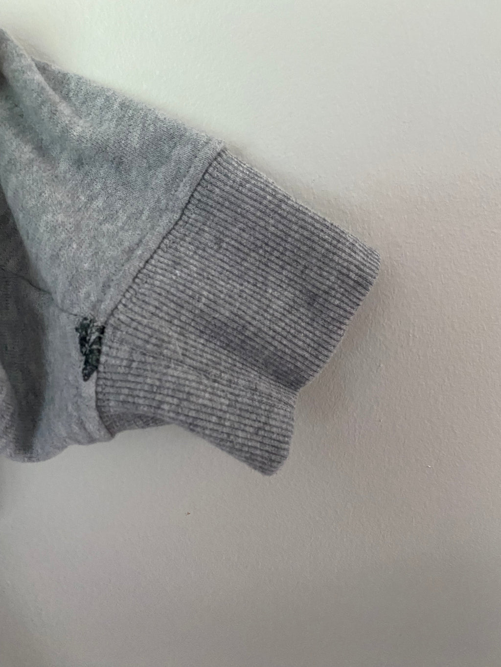 Twik Organic Cotton Dino Sweatshirt