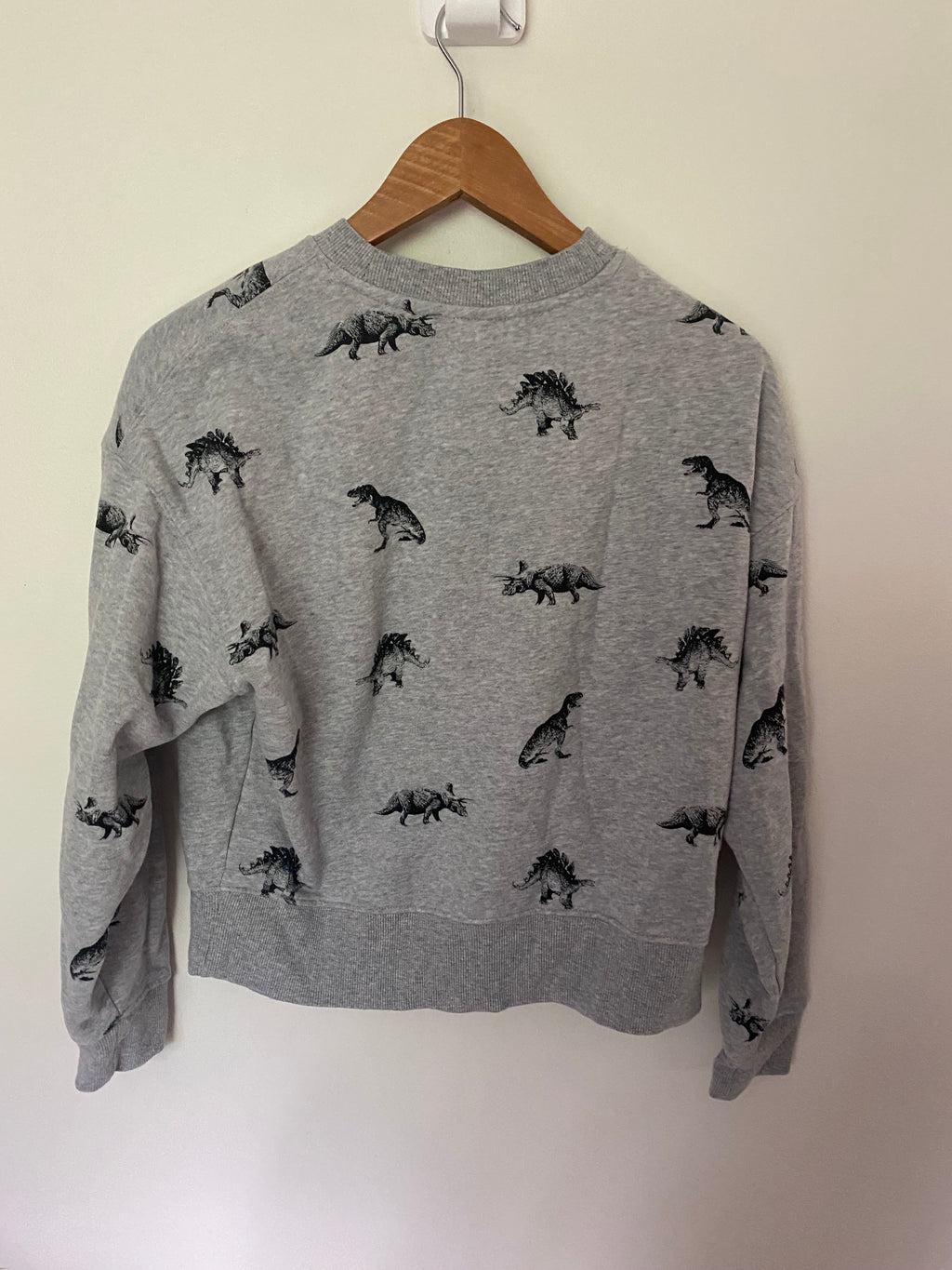 Twik Organic Cotton Dino Sweatshirt