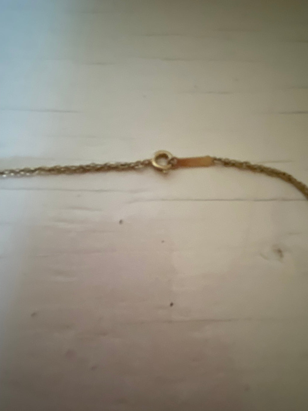 Vintage Cloisonné Pendant on Chain
