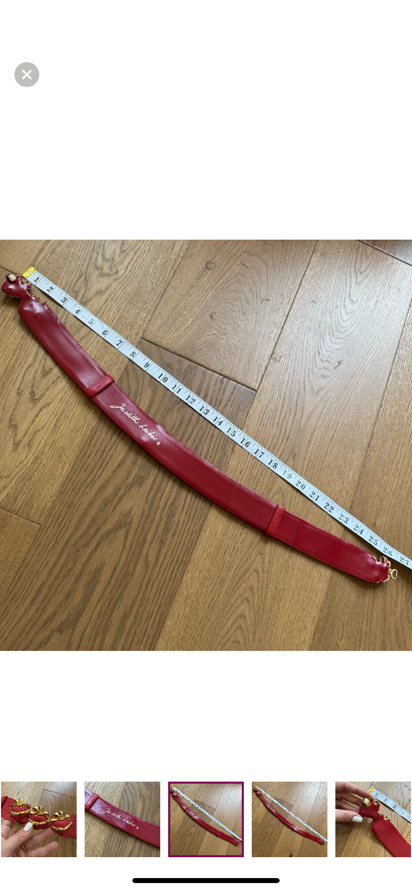 Judith Leiber Strawberry Belt